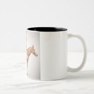 Tasse 2 Couleurs Cheyenne courageux, 1901 (litho de couleur)