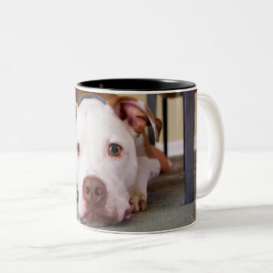 Tasse 2 Couleurs Chien