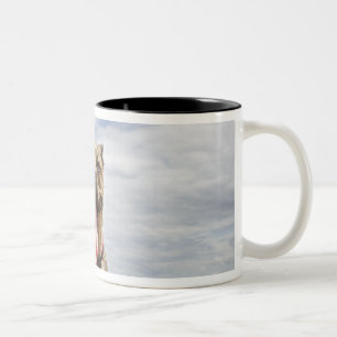 Tasse 2 Couleurs chien à la plage