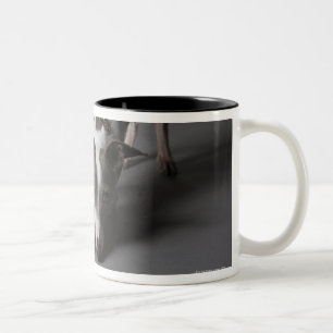 Tasse 2 Couleurs Chien avec la cuvette de diva, plancher de