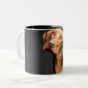 Tasse 2 Couleurs Chien Beagle Brown animal