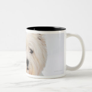 Tasse 2 Couleurs Chien blanc dans des vêtements dans la neige