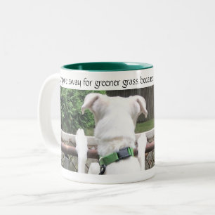 Tasse 2 Couleurs Chien blanc mignon Nosey regardant l'herbe de l'au
