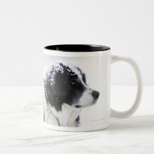 Tasse 2 Couleurs Chien de berger (Akbash/mélange de colley) se