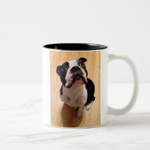 Tasse 2 Couleurs Chien de Boston Terrier