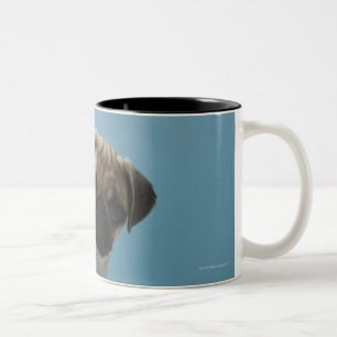 Tasse 2 Couleurs Chien de carlin se reposant sur le lit par la