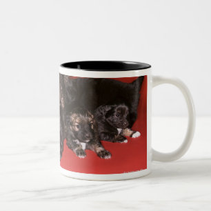 Tasse 2 Couleurs Chien de mère avec des chiots