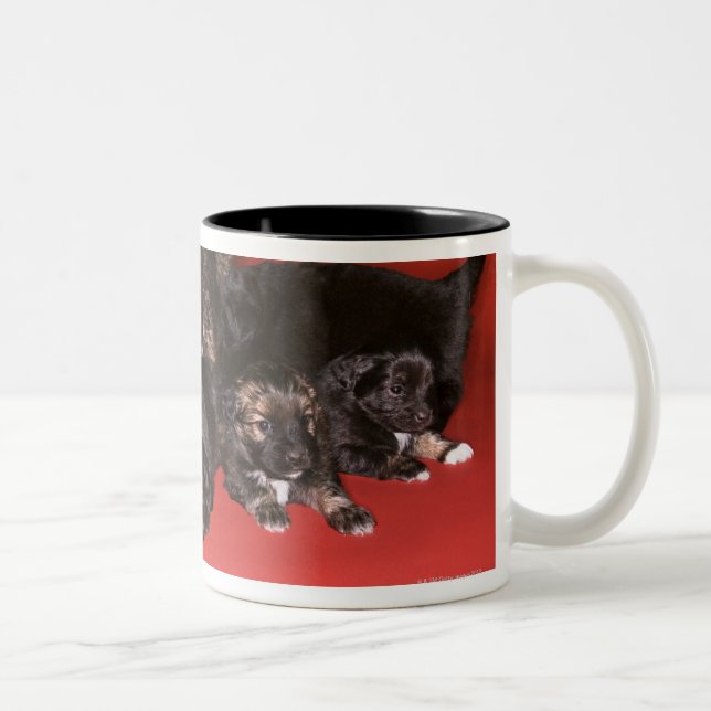 Tasse 2 Couleurs Chien de mère avec des chiots (Droit)
