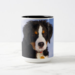 Tasse 2 Couleurs Chien de Montagne bernois - jolie photo de chiot