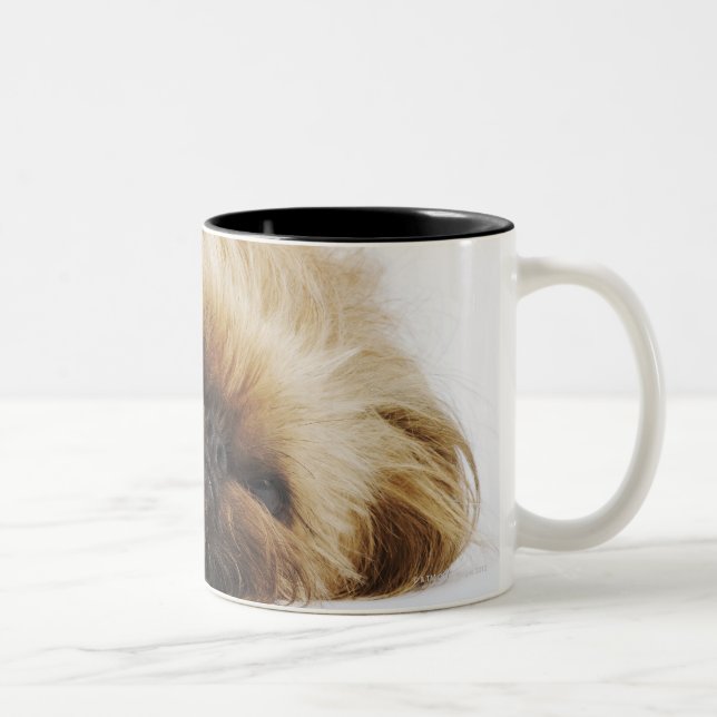 Tasse 2 Couleurs Chien de Pekingese, fin (Droit)