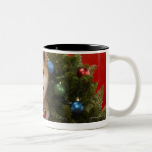 Tasse 2 Couleurs Chien de Shiba Inu se reposant en guirlande de