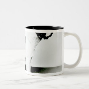 Tasse 2 Couleurs Chien de St Bernard