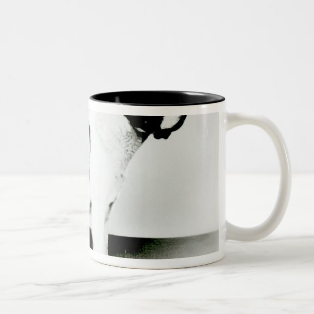 Tasse 2 Couleurs Chien de St Bernard (Droit)