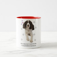 Chien d'épagneul de springer anglais