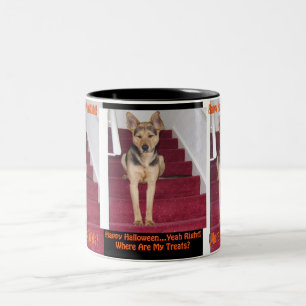 Tasse 2 Couleurs Chien d'Halloween et aucun traitement