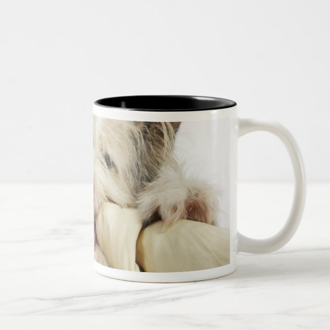 Tasse 2 Couleurs Chien mâchant sur l'os de cuir vert (Droit)
