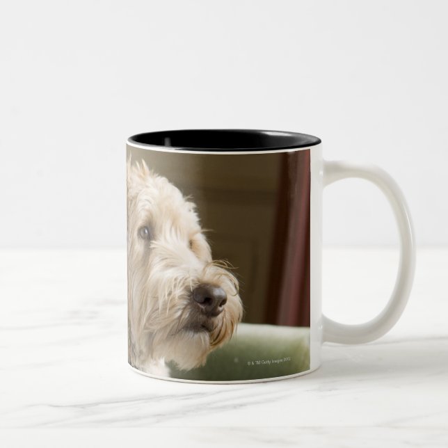 Tasse 2 Couleurs Chien se reposant dans le fauteuil (Droit)
