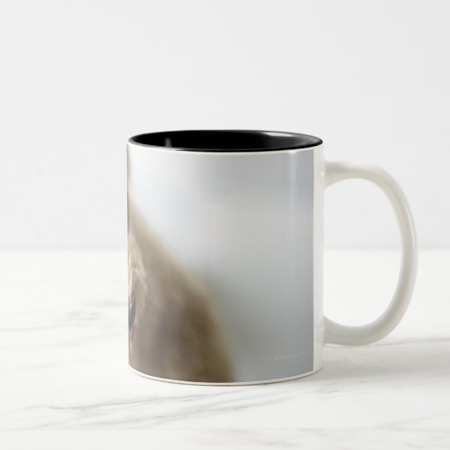 Tasse 2 Couleurs Chien se tenant sur le plancher (Droit)