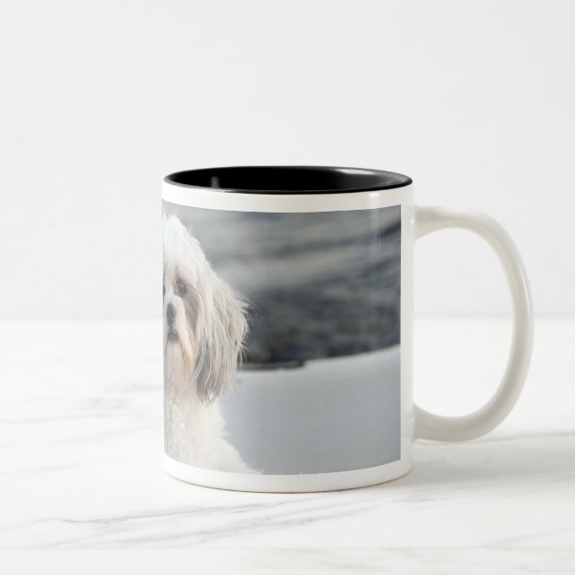 Tasse 2 Couleurs Chien s'étendant par l'eau (Droit)