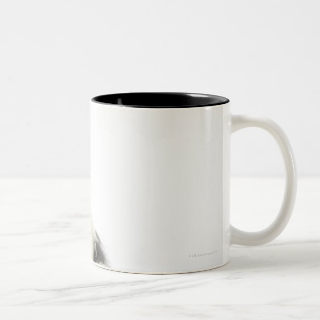 Tasse 2 Couleurs Chien sur le blanc 104 (Droit)