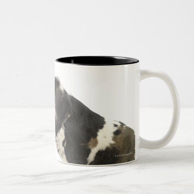 Tasse 2 Couleurs Chien sur le blanc 11 (Droit)