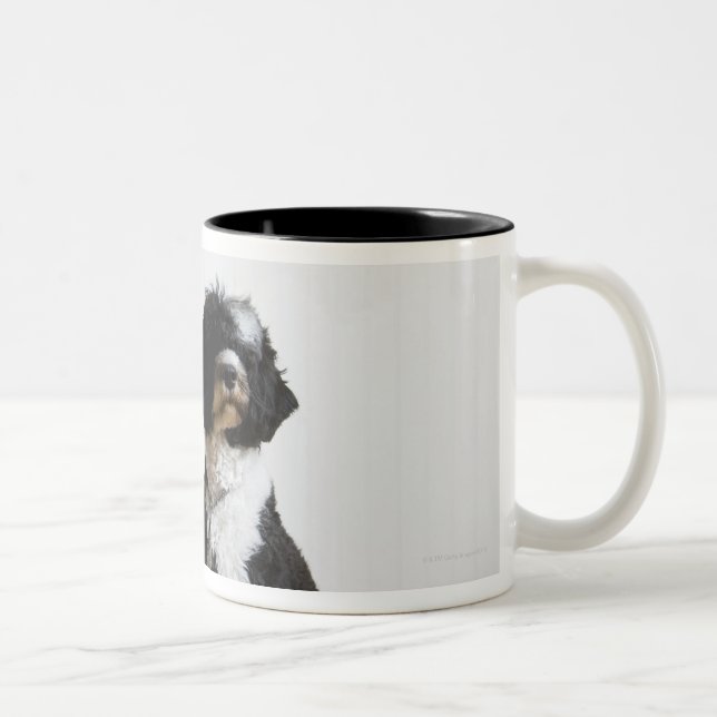 Tasse 2 Couleurs chien sur une laisse (Droit)