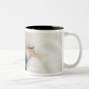 Tasse 2 Couleurs Chien tenant le jouet dans la bouche