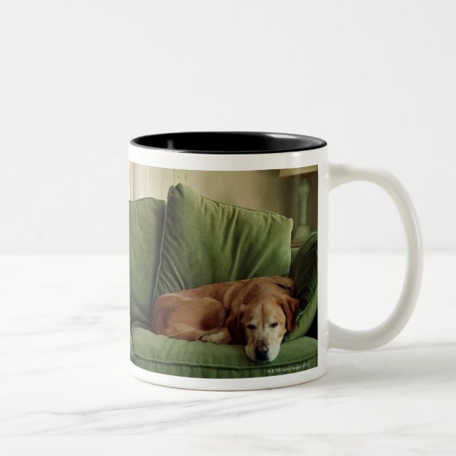Tasse 2 Couleurs Chiens dormant sur le sofa (Droit)