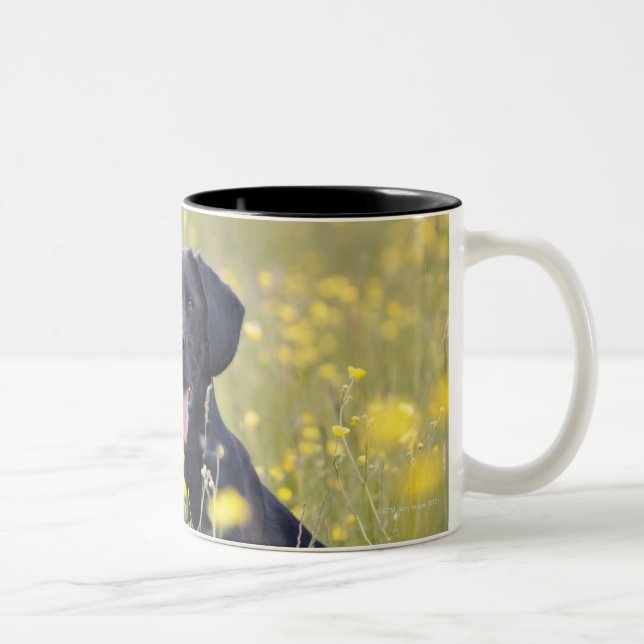 Tasse 2 Couleurs Chiot 16 mois 2 (Droit)