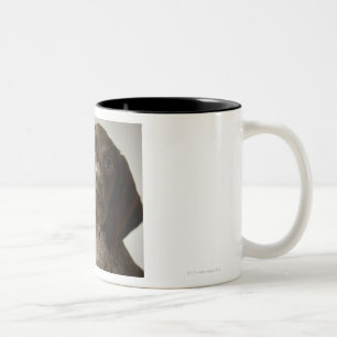 Tasse 2 Couleurs Chiot allemand d'indicateur aux cheveux courts