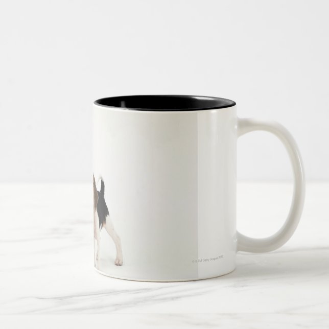 Tasse 2 Couleurs Chiot de beagle (Droit)