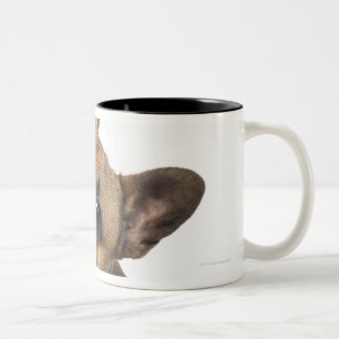 Tasse 2 Couleurs Chiot de bouledogue français (7 mois)
