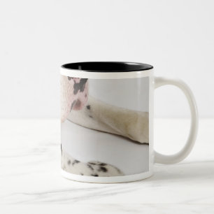 Tasse 2 Couleurs Chiot de great dane de harlequin dormant sur la