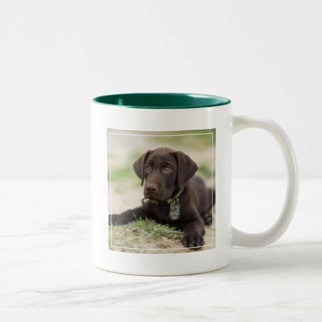 Tasse 2 Couleurs Chiot de laboratoire de chocolat (Droit)
