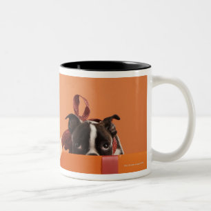 Tasse 2 Couleurs Chiot de terrier de Boston dans la boîte-cadeau