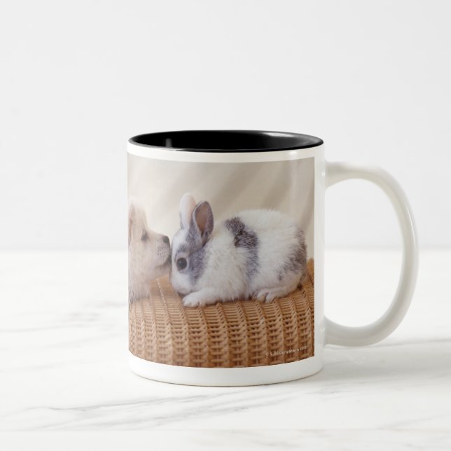 Tasse 2 Couleurs Chiot et lapin (Droit)