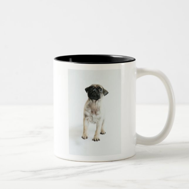 Tasse 2 Couleurs Chiot mignon de carlin (Droit)