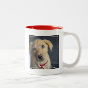 Tasse 2 Couleurs Chiot rouge de Fox Labrador