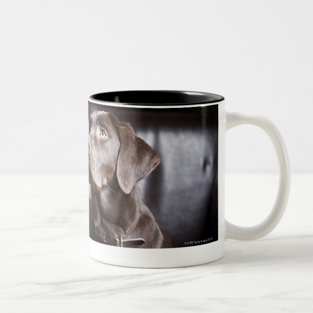 Tasse 2 Couleurs Chocolat labrador retriever (Droit)