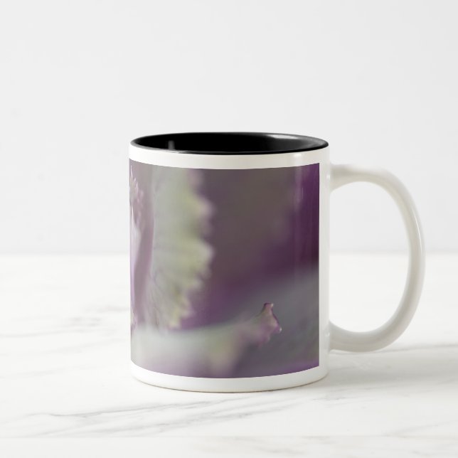 Tasse 2 Couleurs Chou décoratif (Droit)