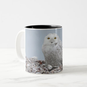 Tasse 2 Couleurs Chouette neigeuse sur coquillesMug café