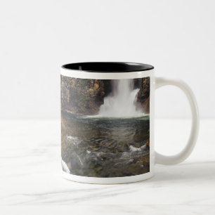 Tasse 2 Couleurs Chutes de l'Aigle en vol aka Trick Falls dans les