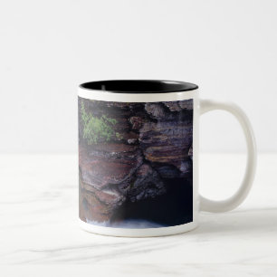Tasse 2 Couleurs Chutes St Mary dans le parc national de Glacier da