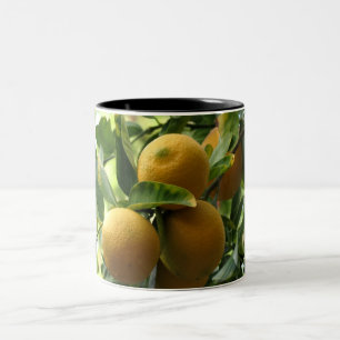 Tasse 2 Couleurs Citrons jaunes sur l'arbre