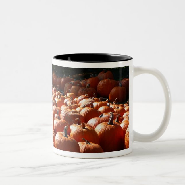 Tasse 2 Couleurs Citrouille Patch Automne Harvest Photographie (Droit)