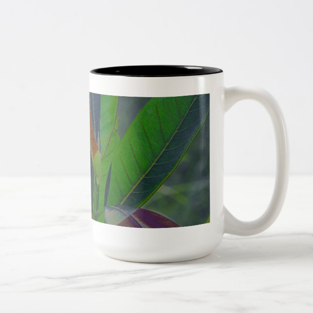 Tasse 2 Couleurs Closeup Feuille vert (Droit)