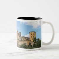 Coblence, Allemagne, château de Stolzenfels, Schlo