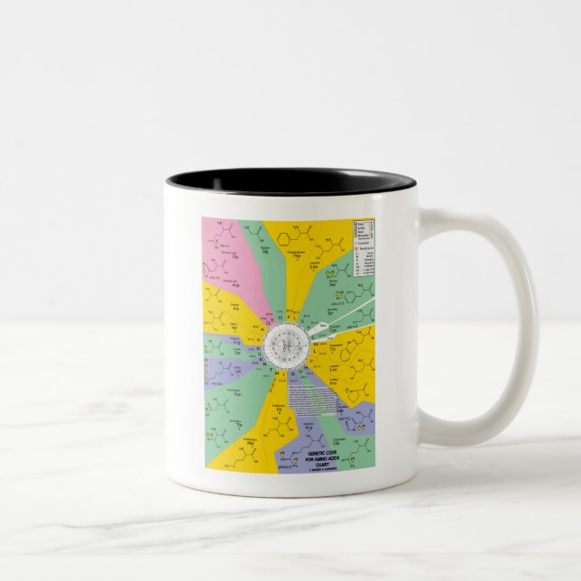 Tasse 2 Couleurs Code Génétique Pour Les Acides Aminés (Roue Graphi (Droit)