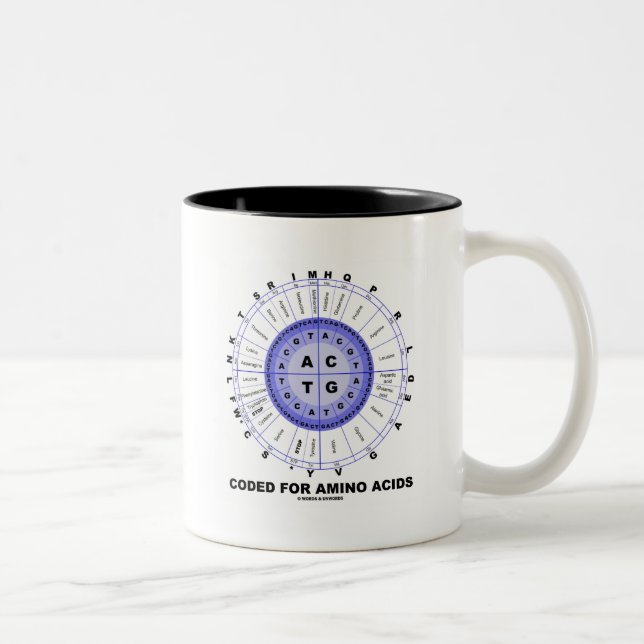 Tasse 2 Couleurs Codé pour les acides aminés (ADN de code (Droit)