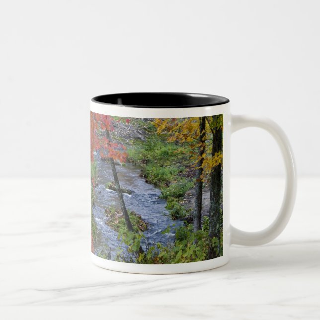 Tasse 2 Couleurs Coles Creek bordée d'érables automnaux près de (Droit)